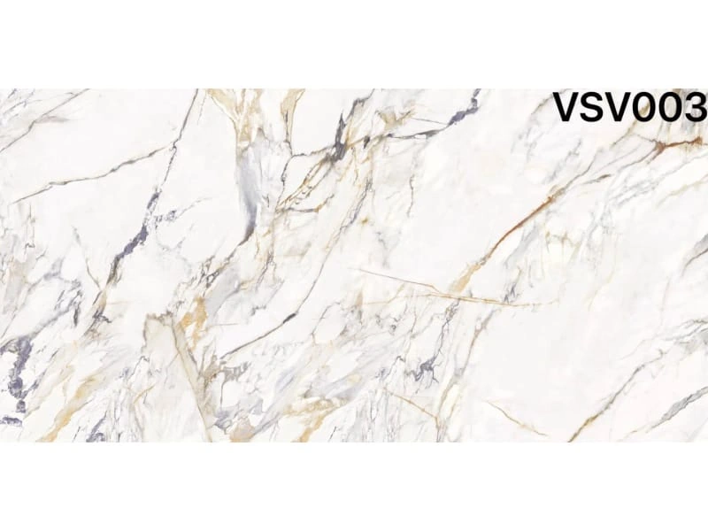 V003