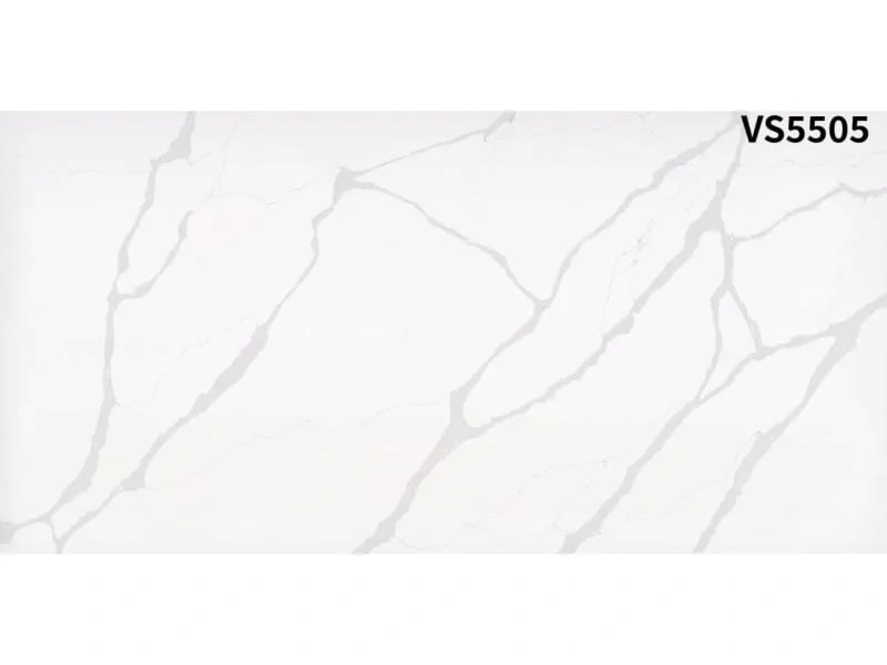 VS5505