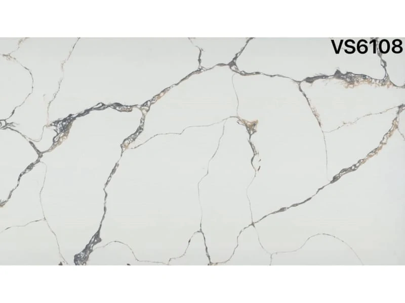 VS6108