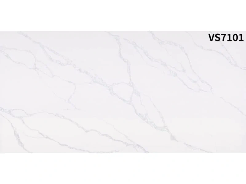 VS7101