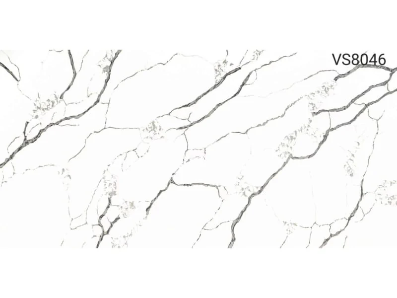 VS8046