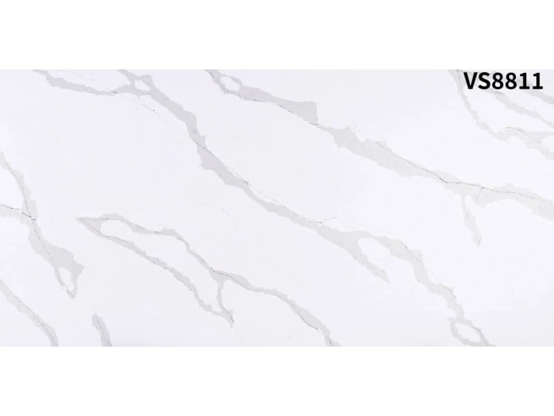 VS8811