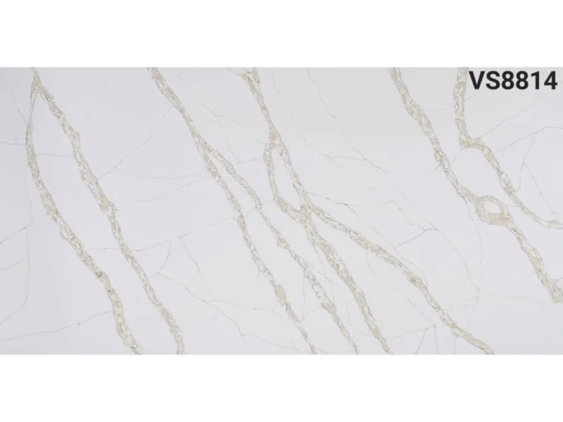 VS8814