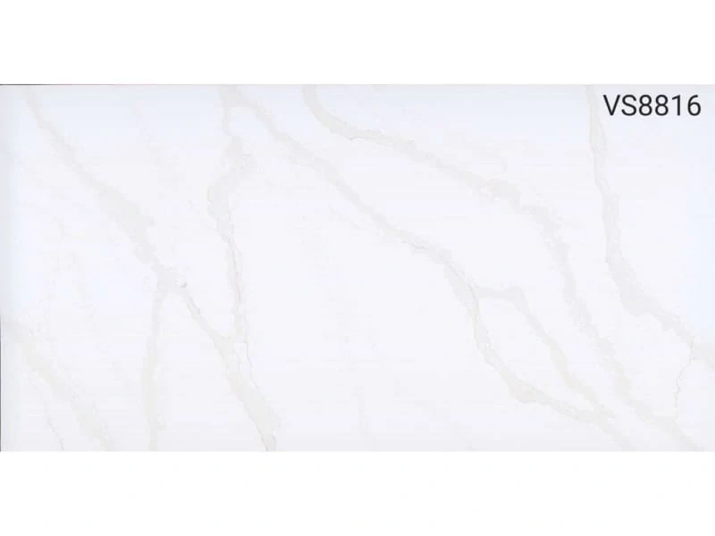VS8816