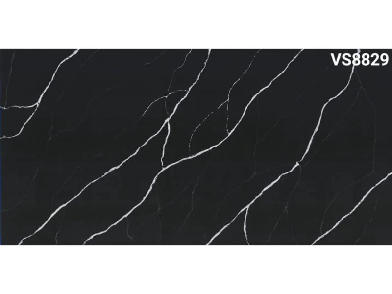 VS8829