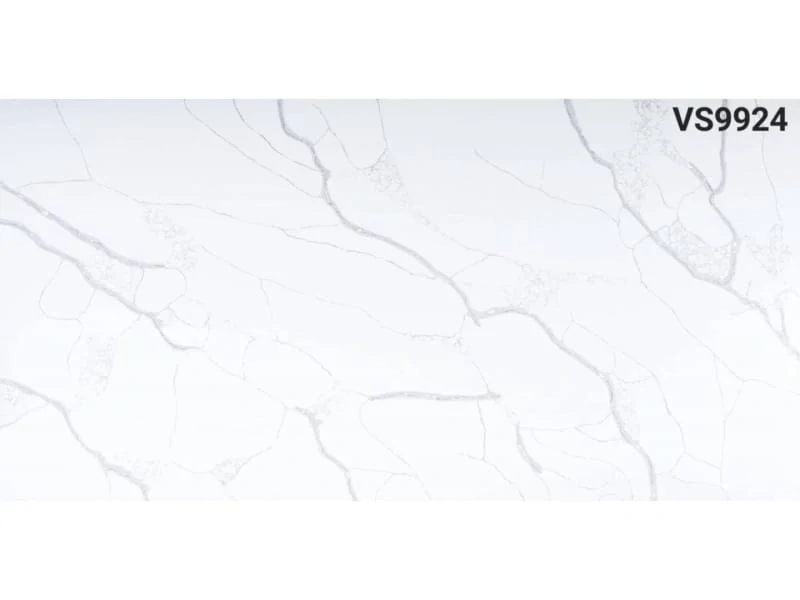VS9924