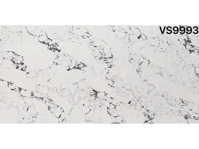 VS9993