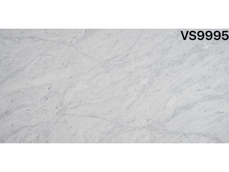 VS9995