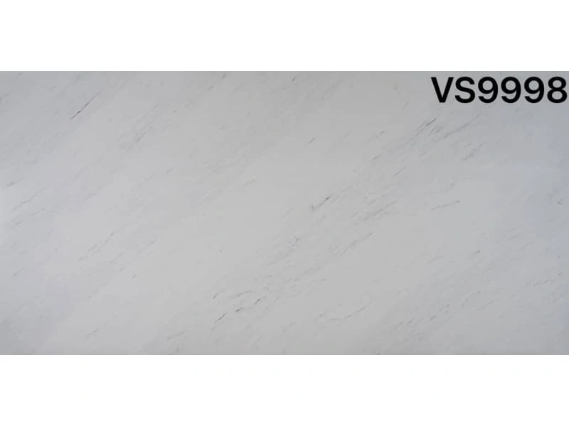 VS9998